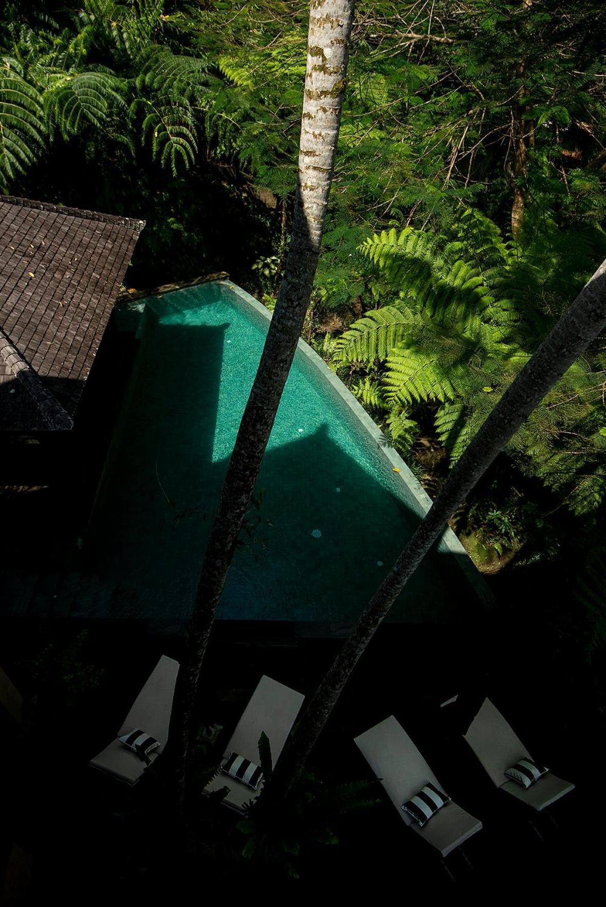 Naga Putih Ubud